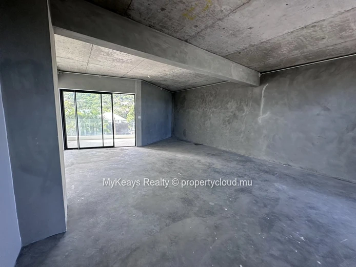 Professional office for rent in La Preneuse